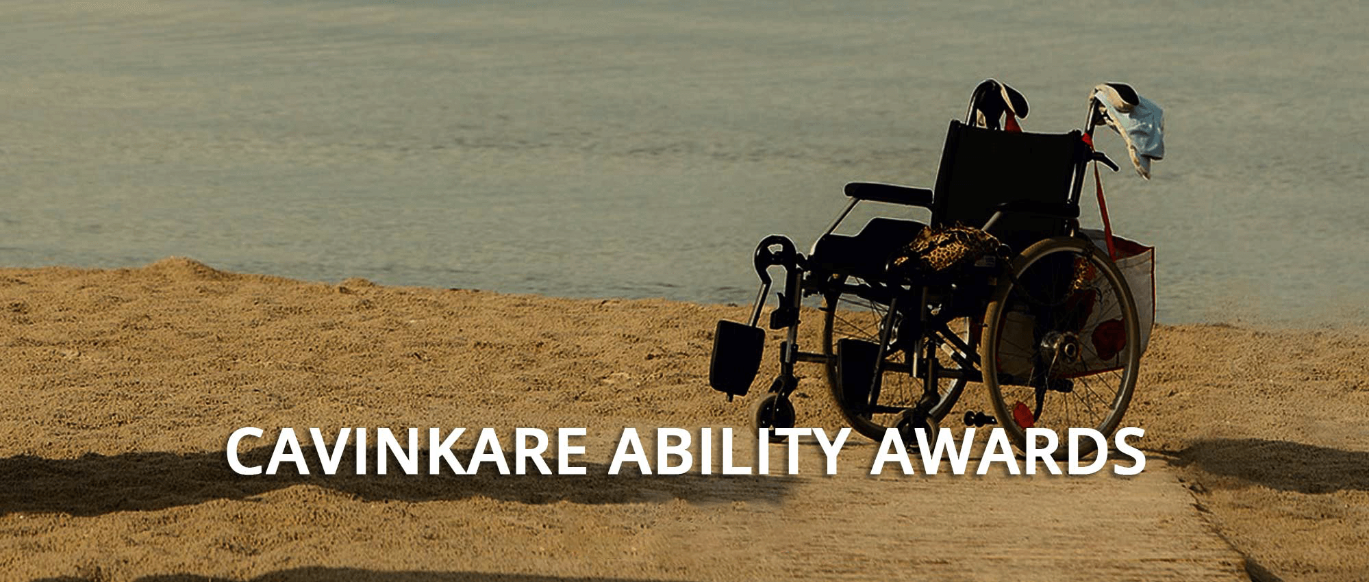 Ability Award 2015