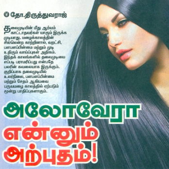 Importance of AloeVera for hair – by Gayatri K